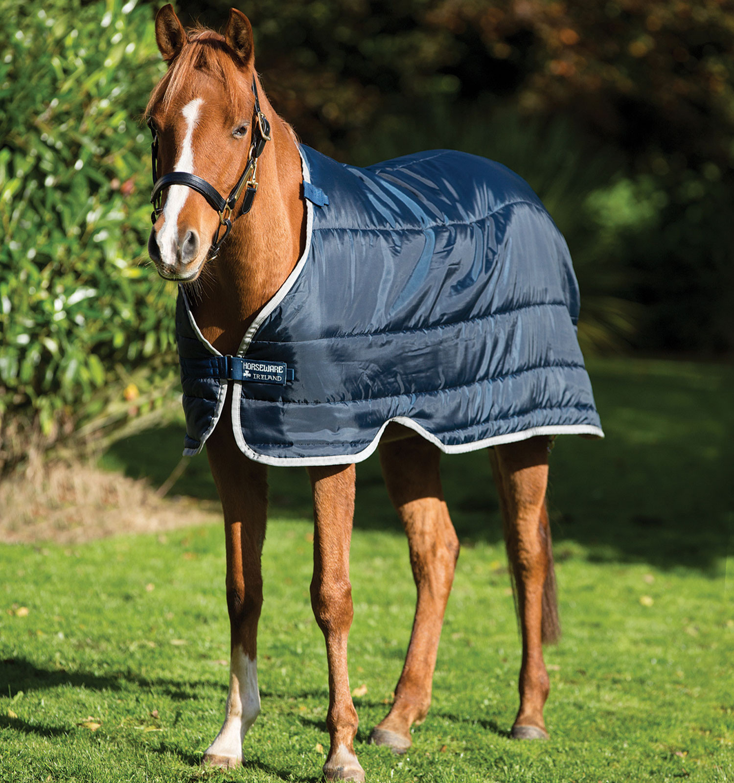 Horseware Unterdecke Pony 100g Marine / Silber Blau Horseware Unterdecke Pony 100g Marine / Silber Blau