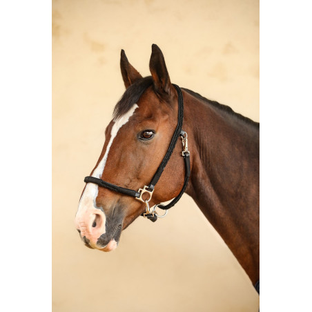 Halfter Hups Harcour