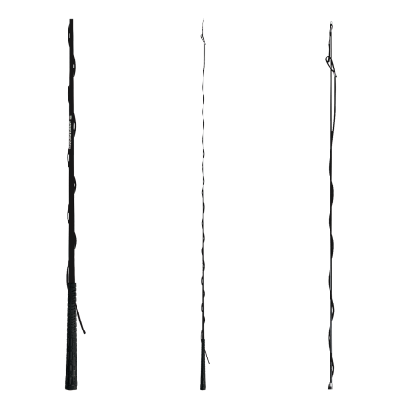 Teleskopische Peitsche Waldhausen