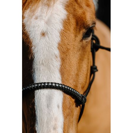 Ethologisches Nylonhalfter Norton Diams