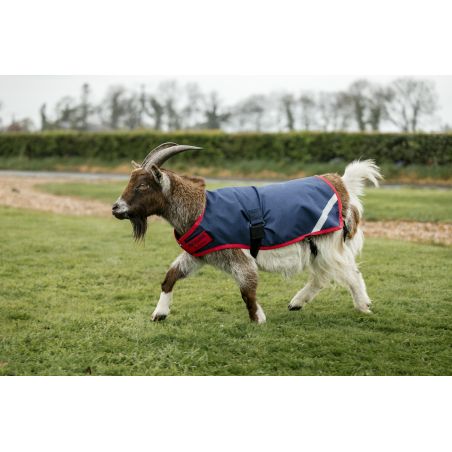 Horseware Ziegen-Abschwitzdecke 0g