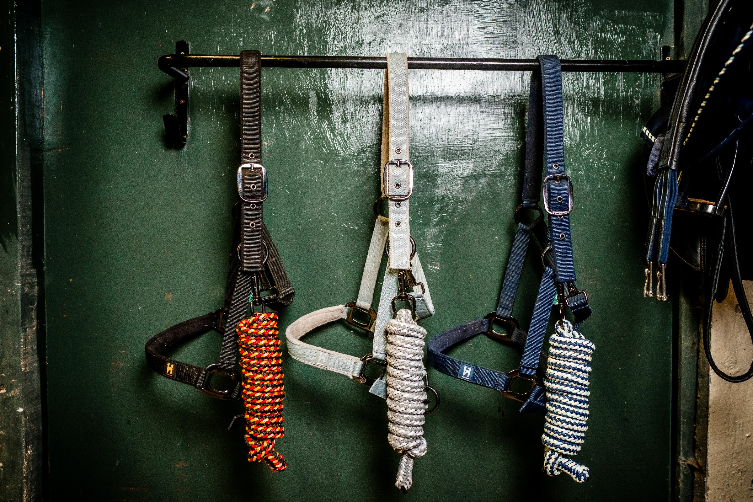 Halfter und Führstrick Horseware Newmarket Rose Witney Rosa Halfter und Führstrick Horseware Newmarket Rose Witney Rosa