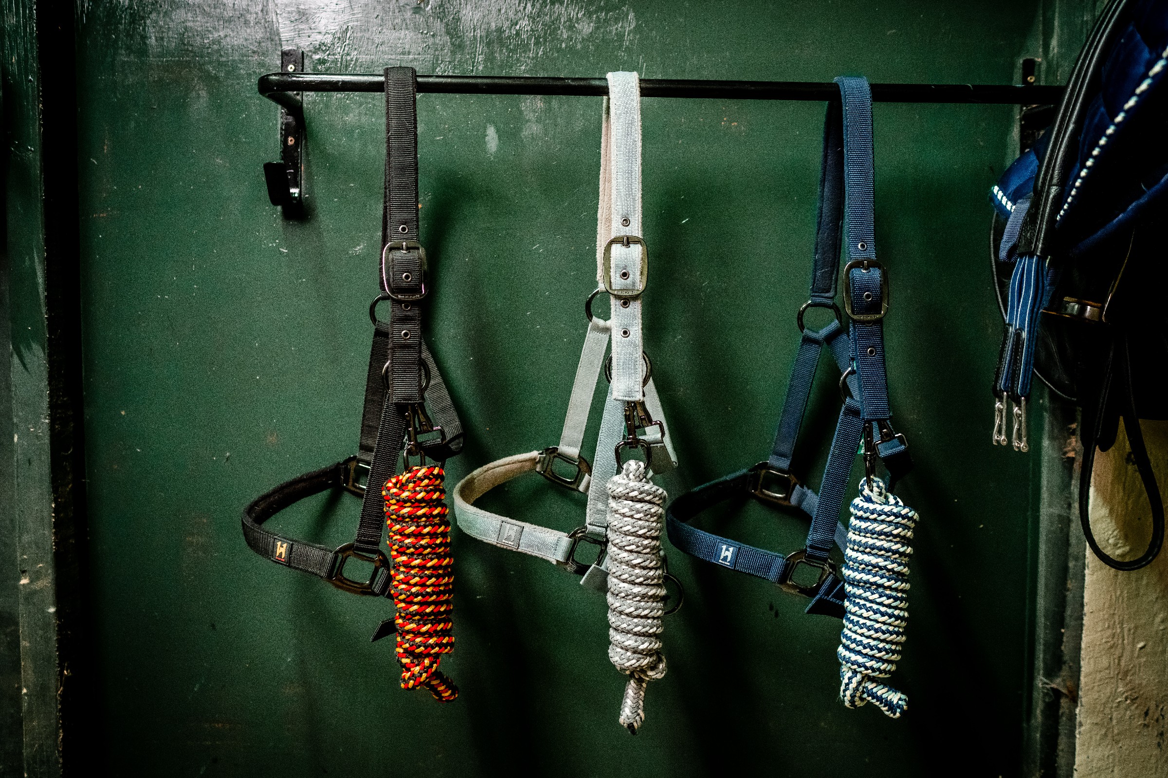 Halfter und Führstrick Horseware Newmarket Rose Witney Rosa Halfter und Führstrick Horseware Newmarket Rose Witney Rosa