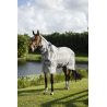 Fliegendecke Horseware Rambo Protector Integrated - Silber / Marineblau