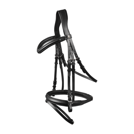 Waldhausen X-Line London Trense mit Kombiniertem Reithalfter