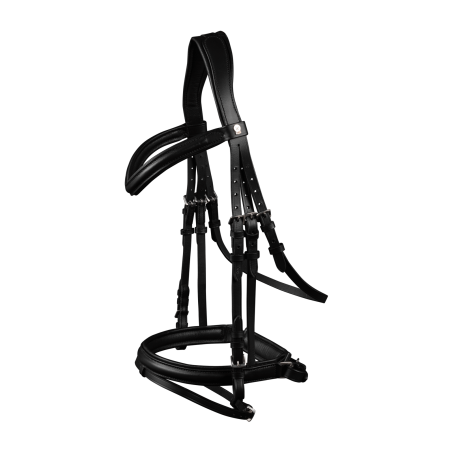 Waldhausen X-Line Trense Stockholm mit kombiniertem Reithalfter Pull Back