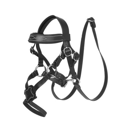 Kandare mit Kreuznasenriemen LeMieux Toy Pony