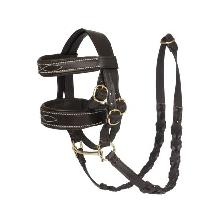 Hunter-Zaum LeMieux Spielzeugpony