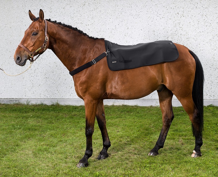 Collier BACK WARMER BACK ON TRACK