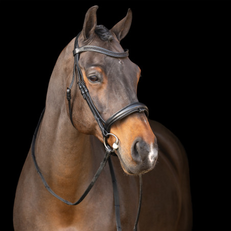 Trense mit englischem Reithalfter Imperial Riding