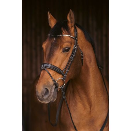 Trense Pénélope Daily Strass SR