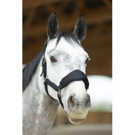 Set Ergonomisches Halfter aus Mesh und Führstrick ProConfort Dorai