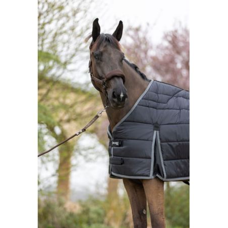 Ergonomischer Liner 100G ProConfort Gatsby