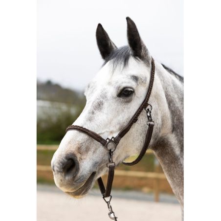 Grooming-Halfter ProConfort Dialou