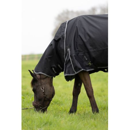 Ergonomische wasserdichte Decke ProConfort Dynastie