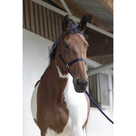 Halfter- und Führstrick-Set Club