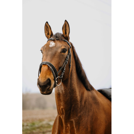 Trensenzaum Norton Club Strass V