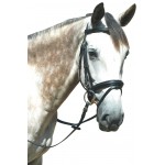 Zaumzeug Pull Back Le Touquet Privilege Reitsport