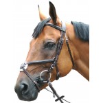 Trensenzaum Royan Kreuzung Privileg Reitsport