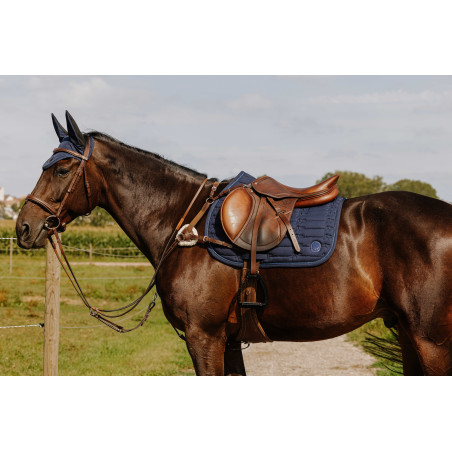 Brustblatt NORTON – 5 Punkte