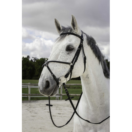 Bridon Riding World Kreuzzaum