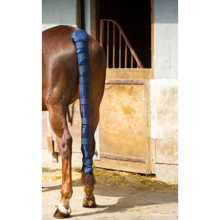 Schweifschoner Norton Doudoune lang