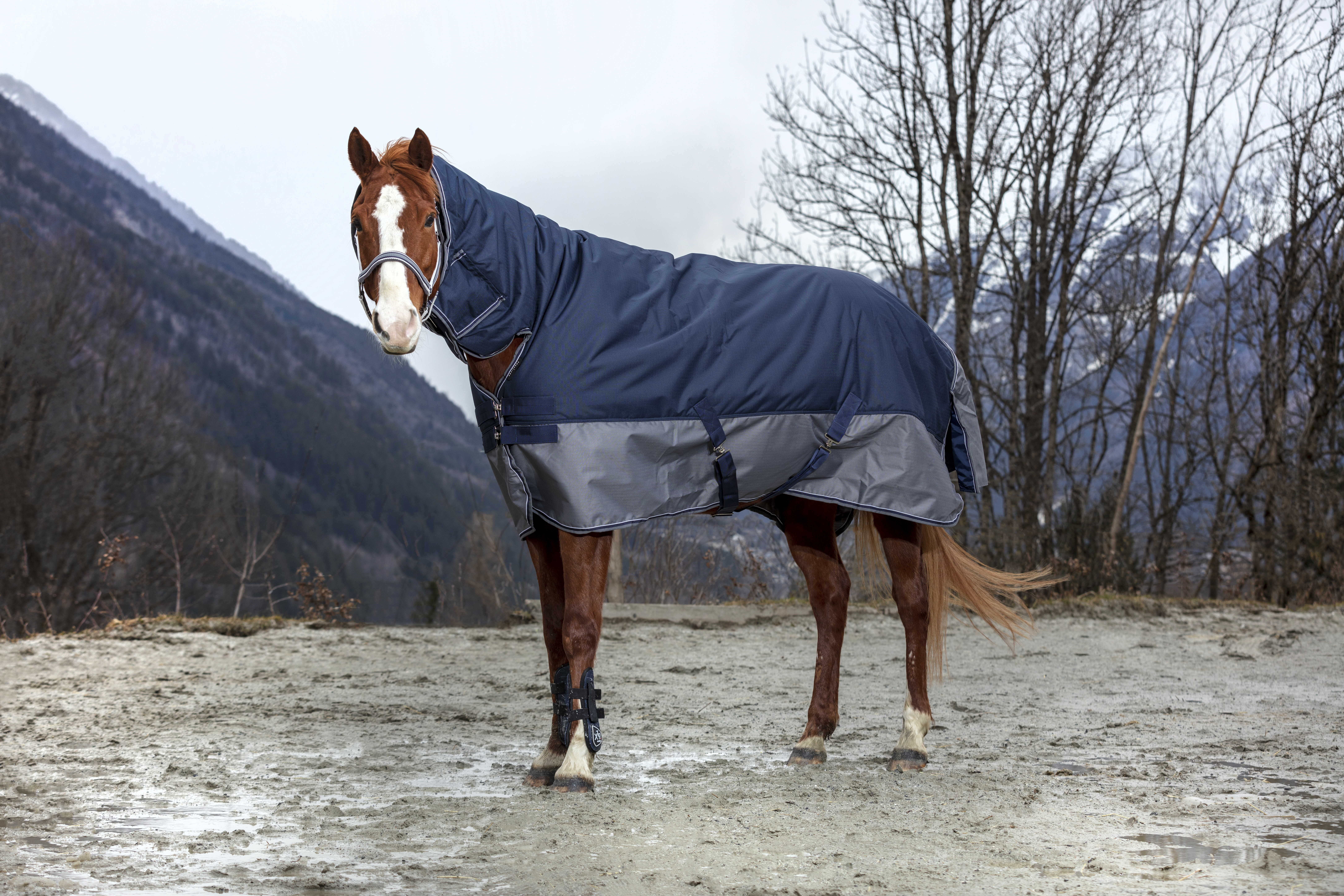 COUVERTURE Equi-Theme TYREX 600 D COMBO 200G COUVERTURE Equi-Theme TYREX 600 D COMBO 200G