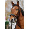 Bridon Norton Training - Schwarz