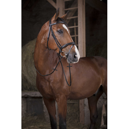 Gummizügel Norton Pro 16 mm