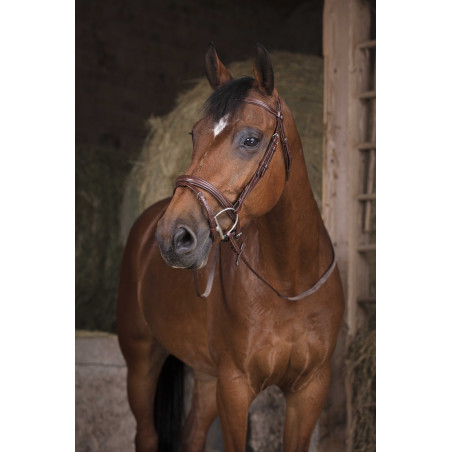 Gummizügel Norton Pro