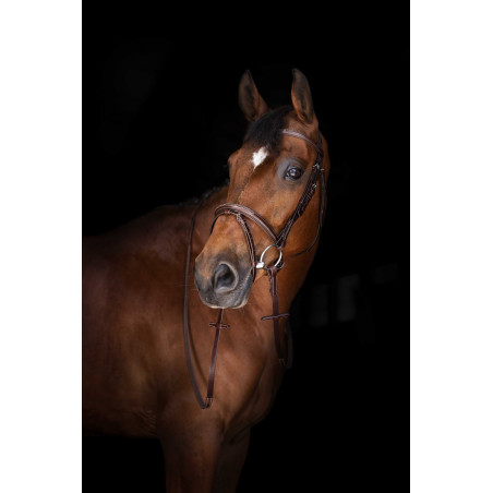 Zügel Hunter Eric Thomas Elite 16 mm