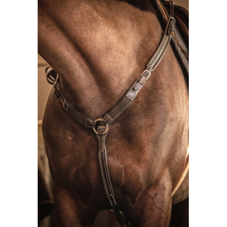 Martinigall Pénélope