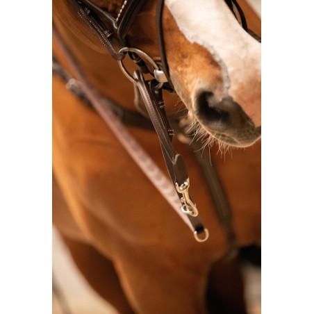 Ausbinder Pénélope Howlett