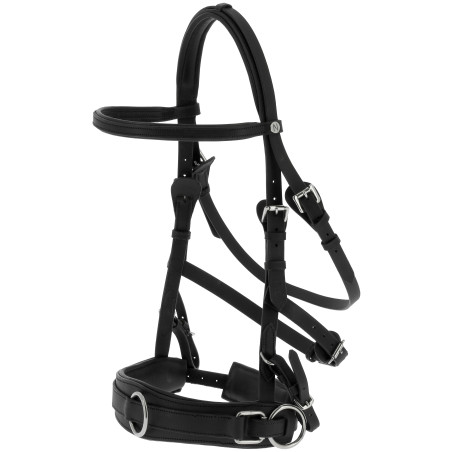 Breites Caveçon Norton