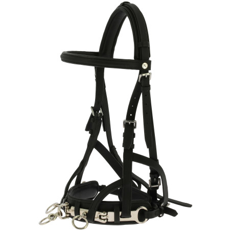 Arbeitskappzaum Norton