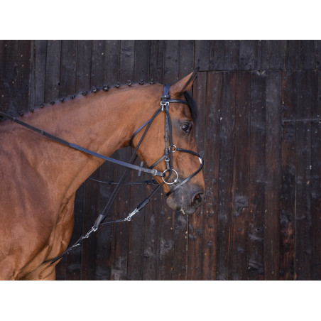 Flaschenzug Gogue Riding World