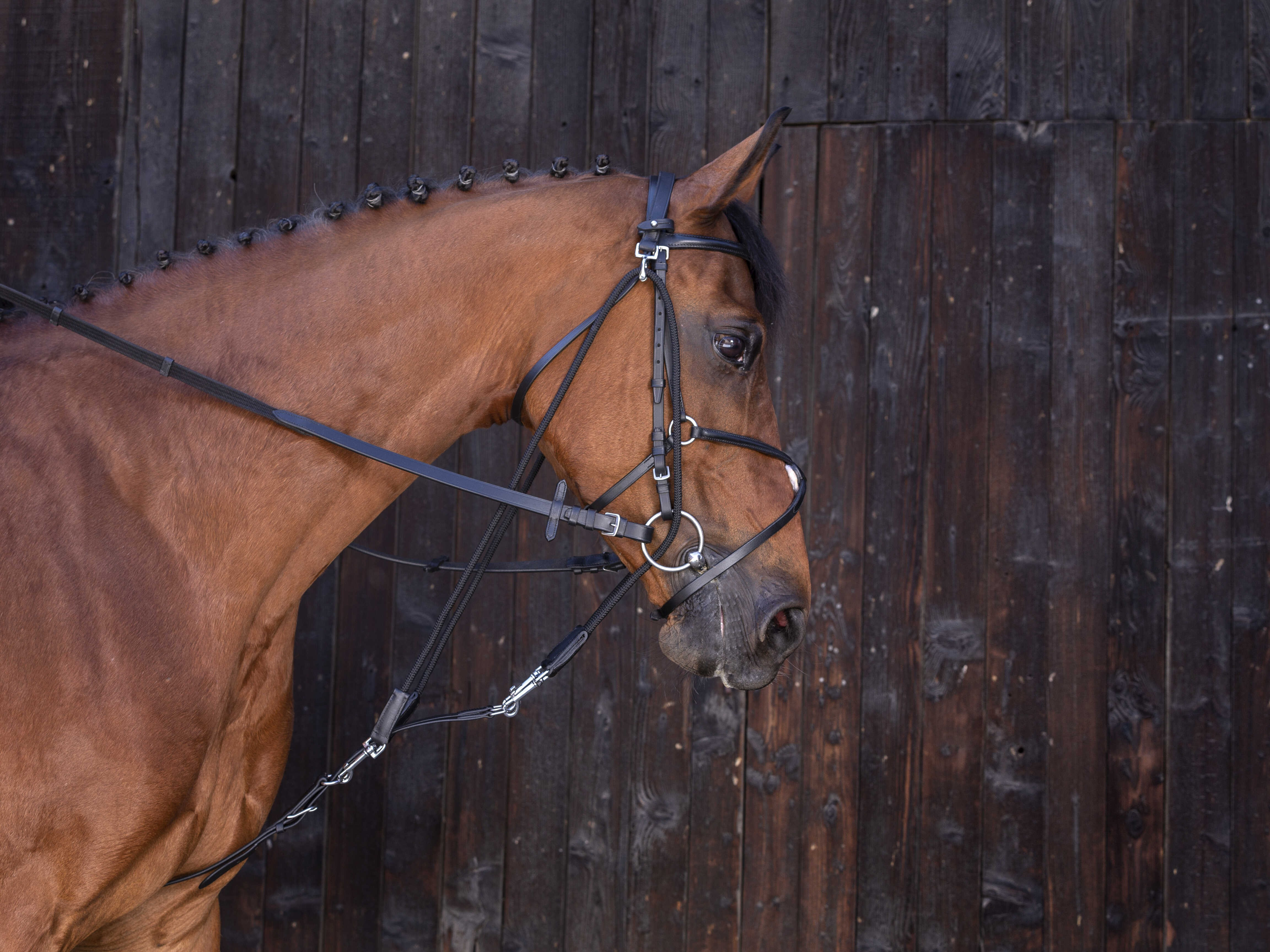 Flaschenzug Gogue Riding World Schwarz Flaschenzug Gogue Riding World Schwarz