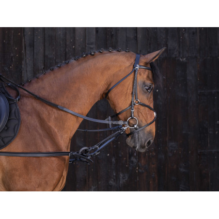 Gummizügel Riding World