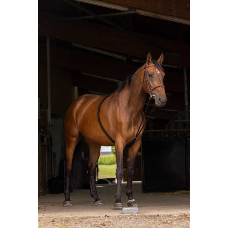 Norton Hilfszügel sanfter Extender