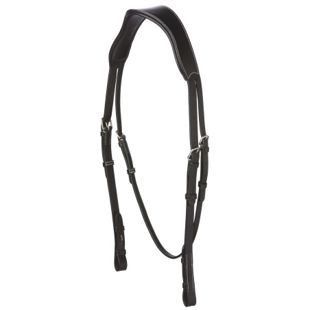 Anatomisches breites Kopfstück Eric Thomas Pro