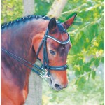 Dressurtrense Leder Cézanne T de T