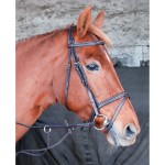 Kandare Kessel T mit T Kopfstück dreifach kombiniertem Reithalfter