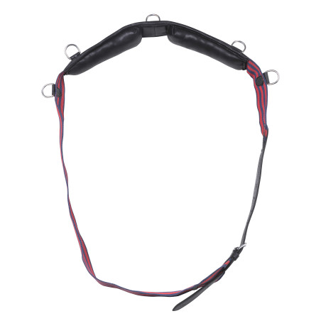 Longiergurt Gurt Norton Club