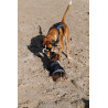 Hundedecke Equithème Eco 600D - Marine