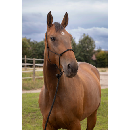 Weiches Knotenhalfter