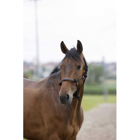 Ethologisches Halfter Norton Seil/Synthetik