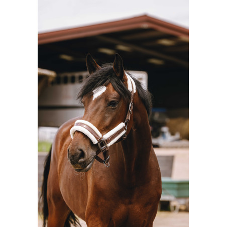 Nylonhalfter Equithème Fashion