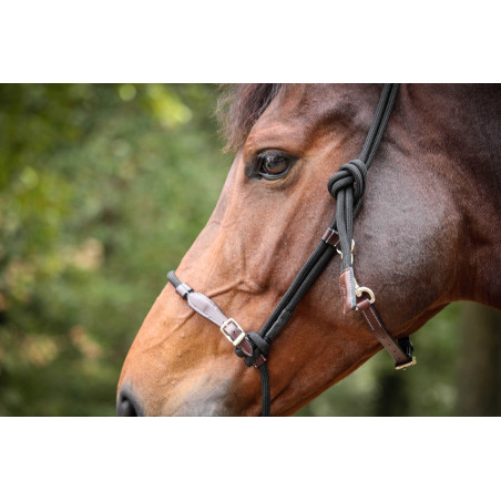 Pénélope Ethologisches Halfter