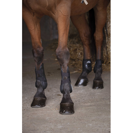 Streichkappen Norton XTR