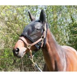 Schwarze Fliegenmaske T de T